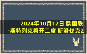 2024年10月12日 欧国联-斯特列克梅开二度 斯洛伐克2-瑞典